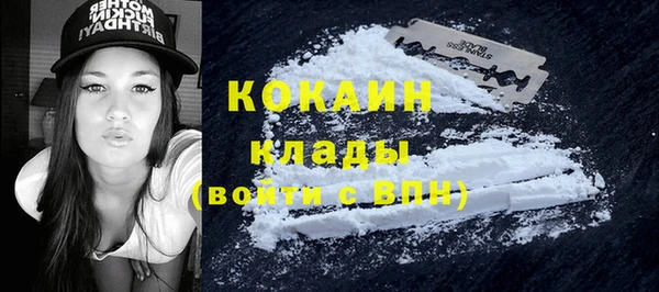 сатива Арсеньев