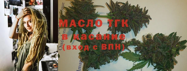 сатива Арсеньев