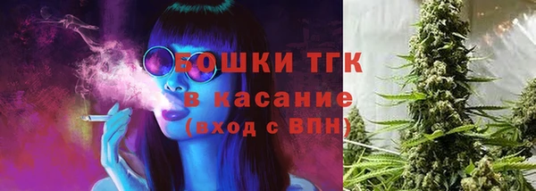 прущие крисы Аркадак